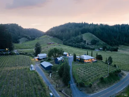 $2,995,000 | 8781 Martinelli Road, Forestville, CA 95436