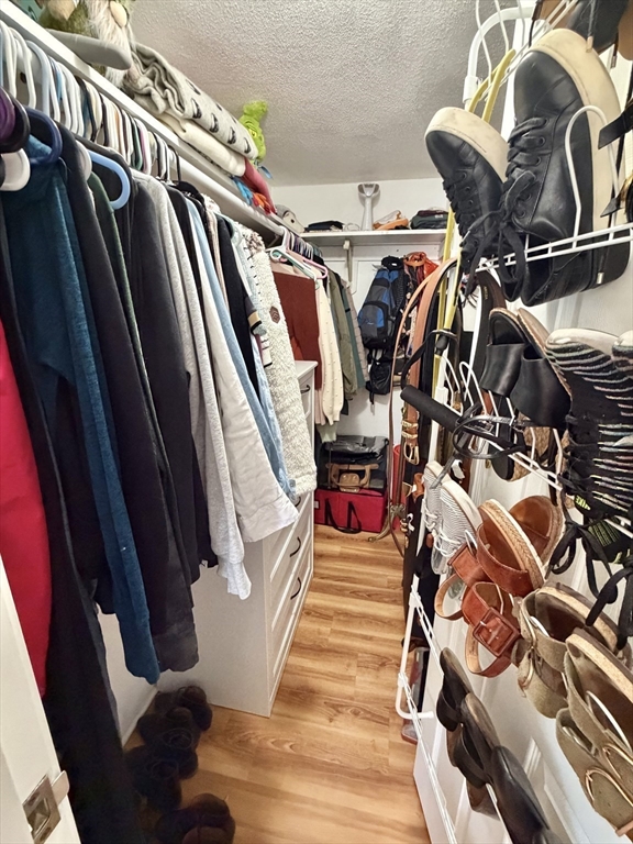 136 Central Street, Unit C 6 Hudson, MA 01749 - Photo 18 of 20 a view of walk in closet with clothes and shoes