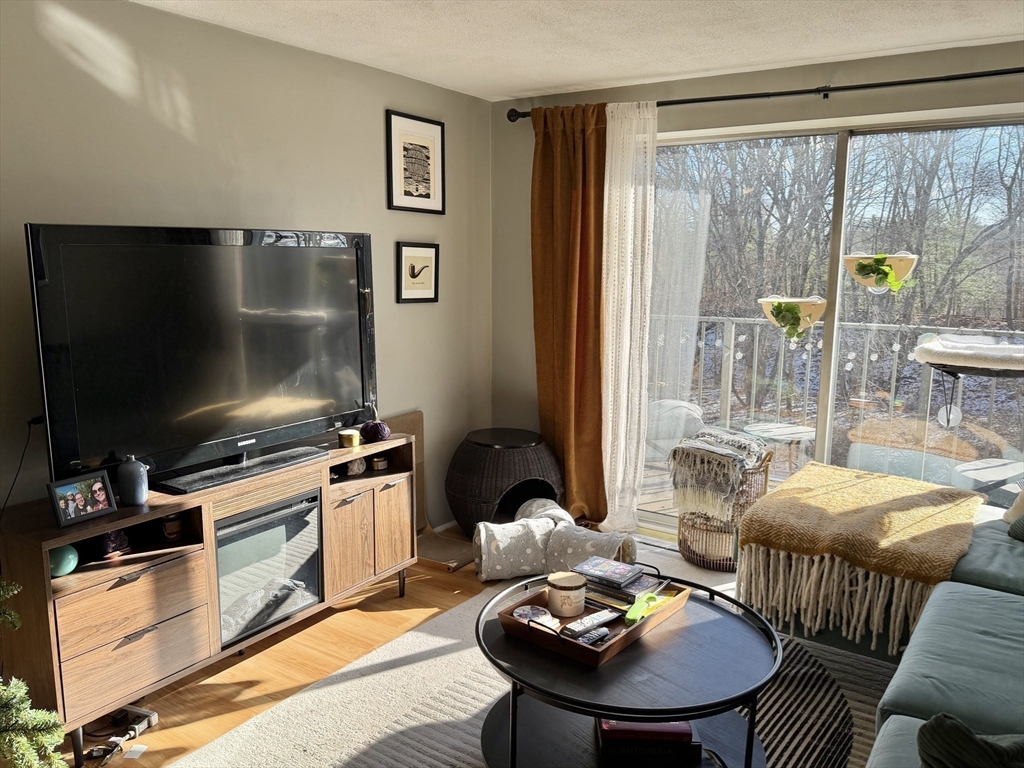 136 Central Street, Unit C 6 Hudson, MA 01749 - Photo 7 of 20 a living room with furniture and a flat screen tv