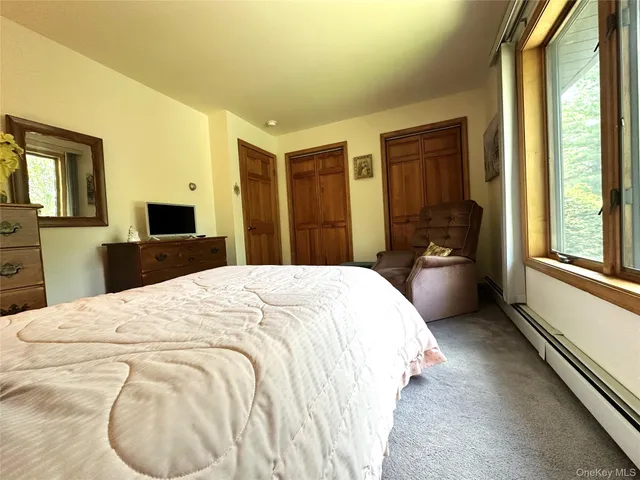 a bed room with a bed and a television