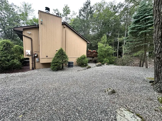 a view of a garden with plants