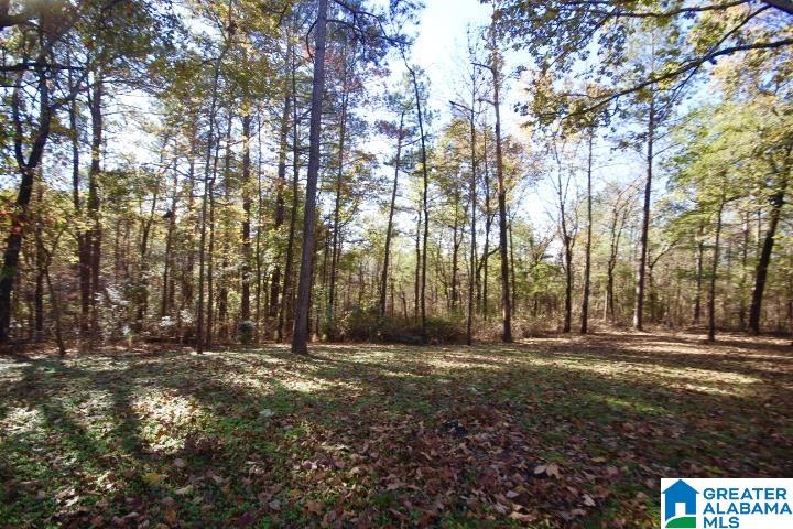 1189 County Road 46 Montevallo, AL 35115 - Photo 10 of 56