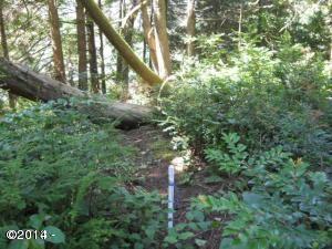 Tm#1311070 Northwest Legion Road Waldport, OR 97394 - Photo 4 of 5 Water line in lot 905