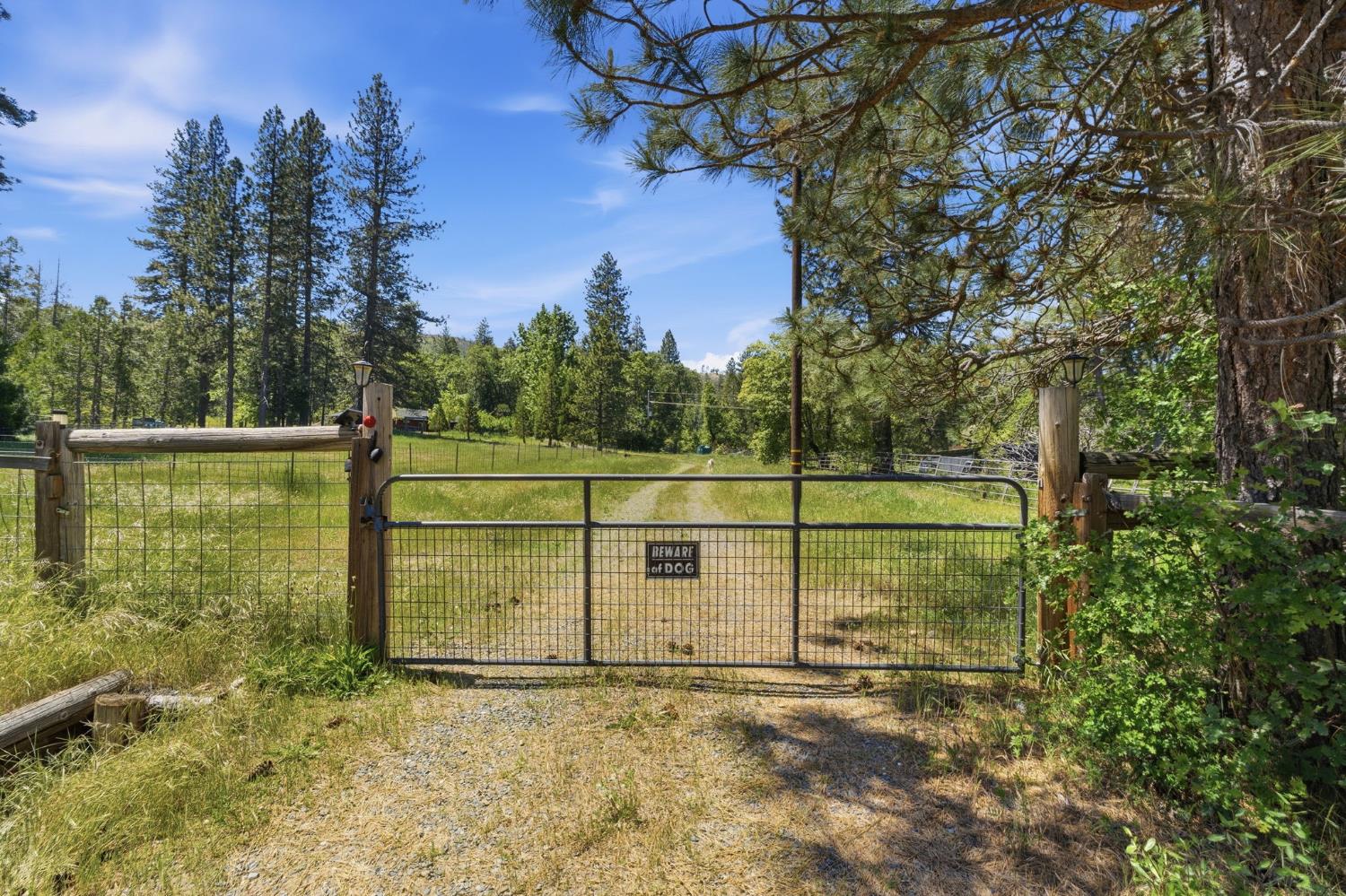 7019 Scott Road Mariposa, CA 95338 - Photo 66 of 77