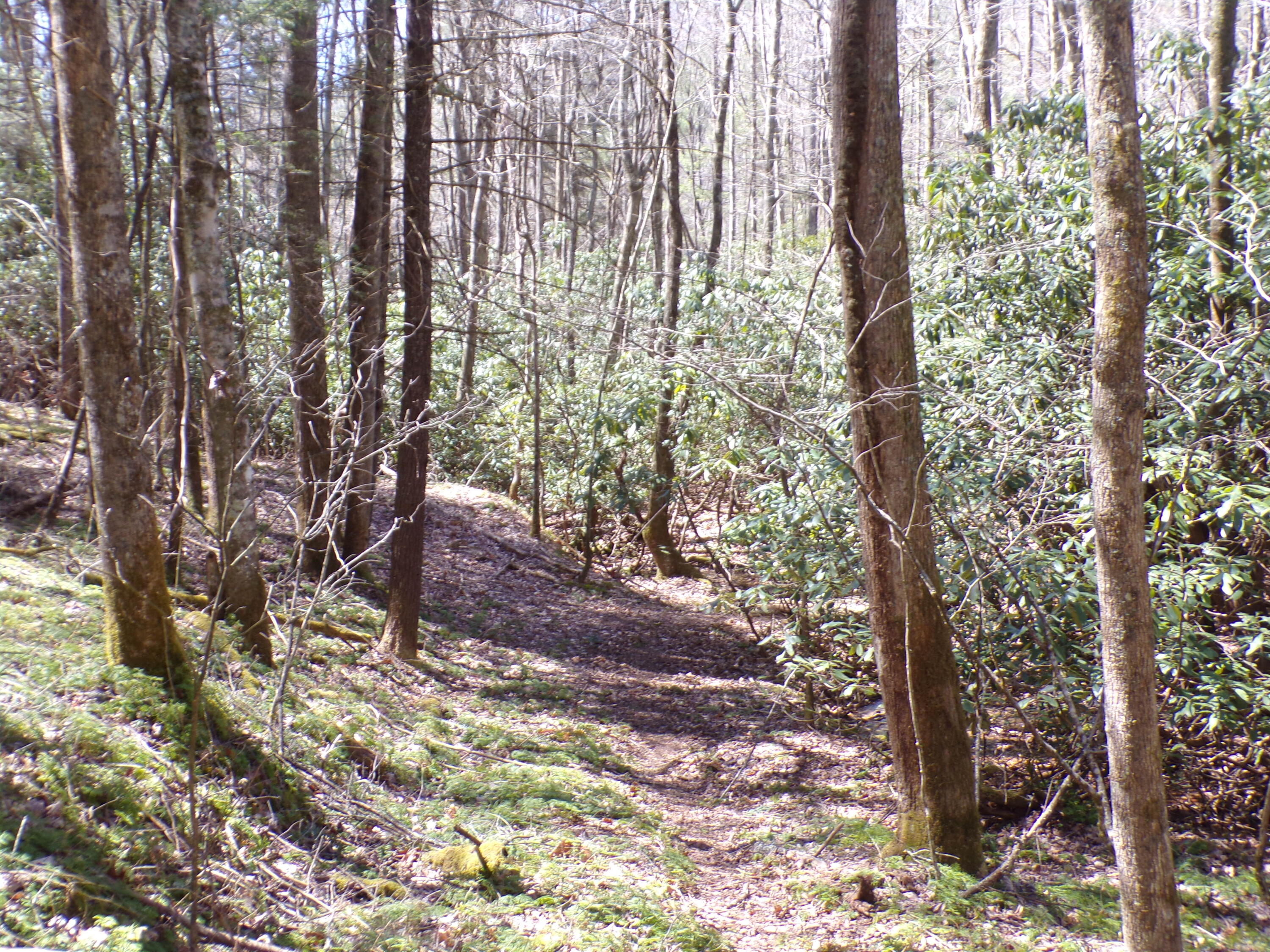 194 Jack McKinney Road Hampton, TN 37658 - Photo 21 of 26 103_7294