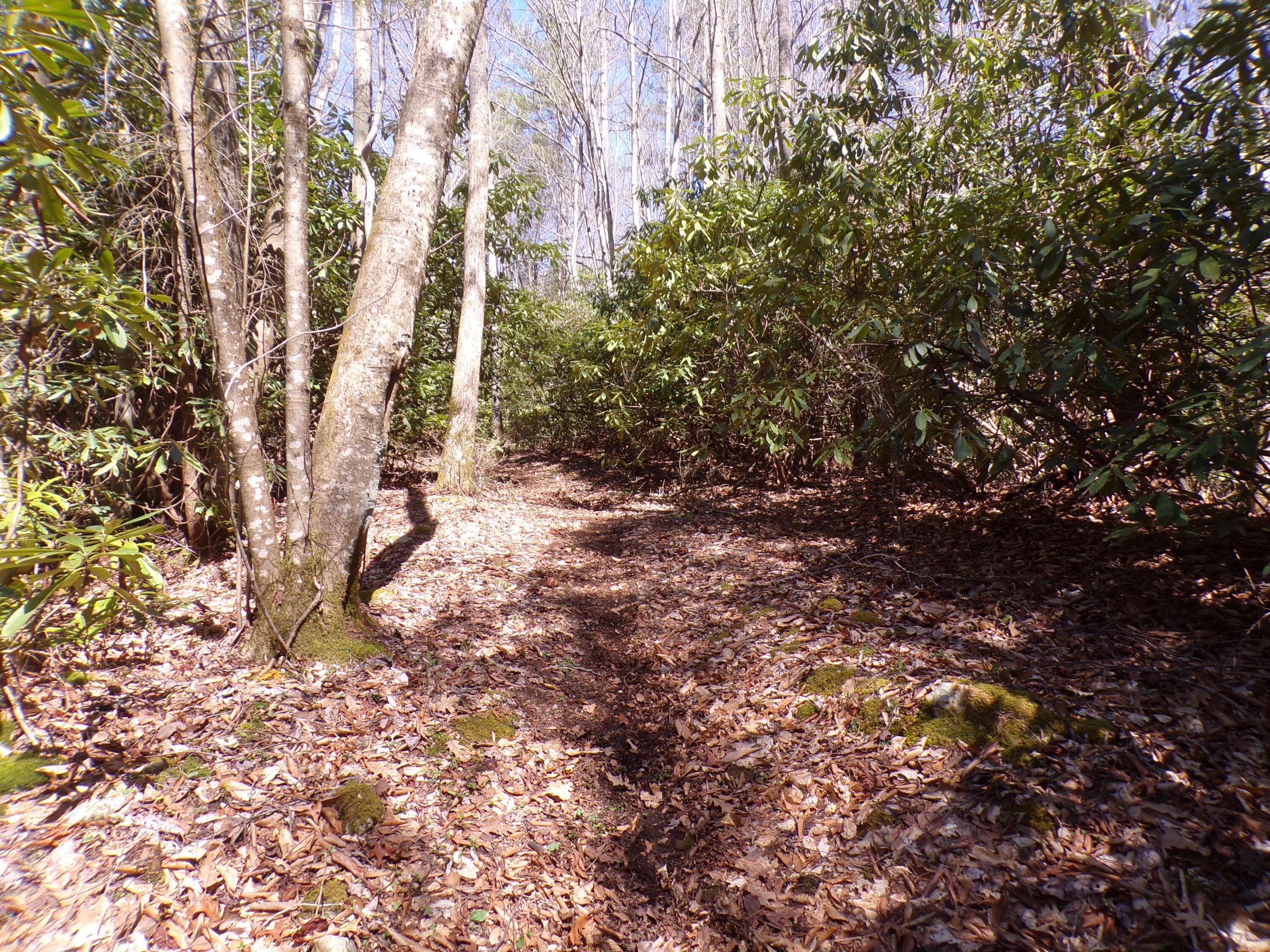 194 Jack McKinney Road Hampton, TN 37658 - Photo 8 of 26 103_7275