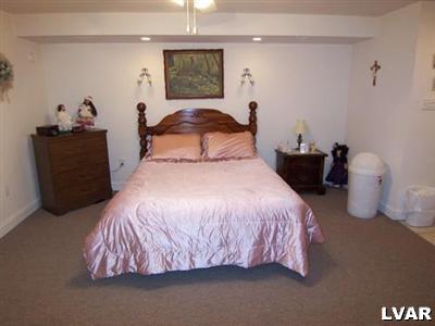 520 Mt Pleasant Road Bangor, PA 18013 - Photo 11 of 11 Lower level bedroom
