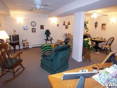 Lower level family room