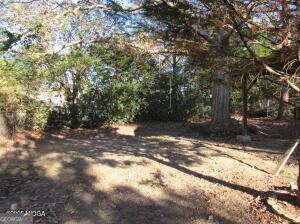 6662 Goodall Mill Road Macon, GA 31216 - Photo 42 of 50 a view of a yard with plants and trees