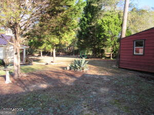 6662 Goodall Mill Road Macon, GA 31216 - Photo 45 of 50 a view of dirt yard with a large tree