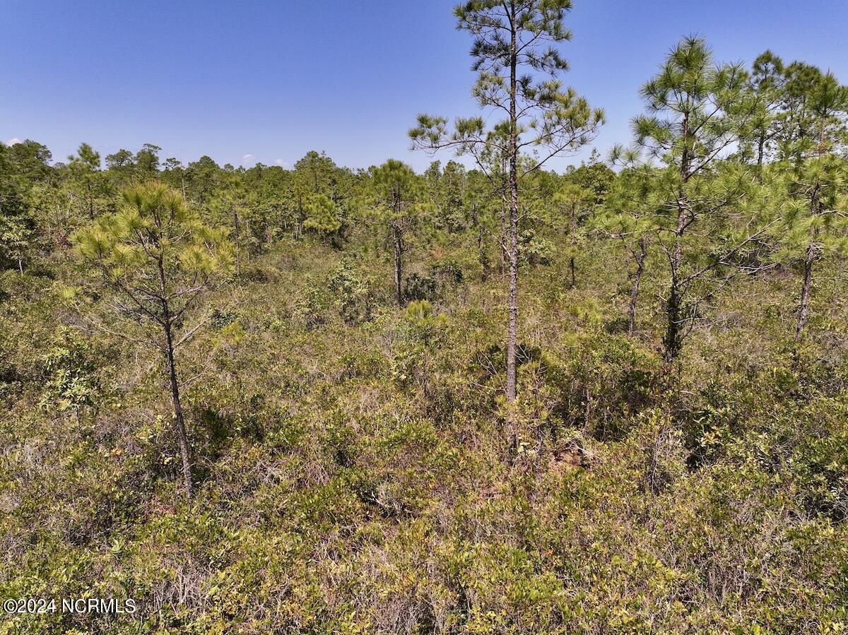 0 George Road Havelock, NC 28532 - Photo 20 of 28 19