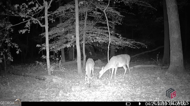 0 Moore Road Elberton, GA 30635 - Photo 64 of 67