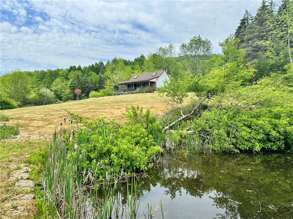 1895 Chamberlain Brook Road Walton, NY 13856 - Photo 1 of 1 Gallery Image 1