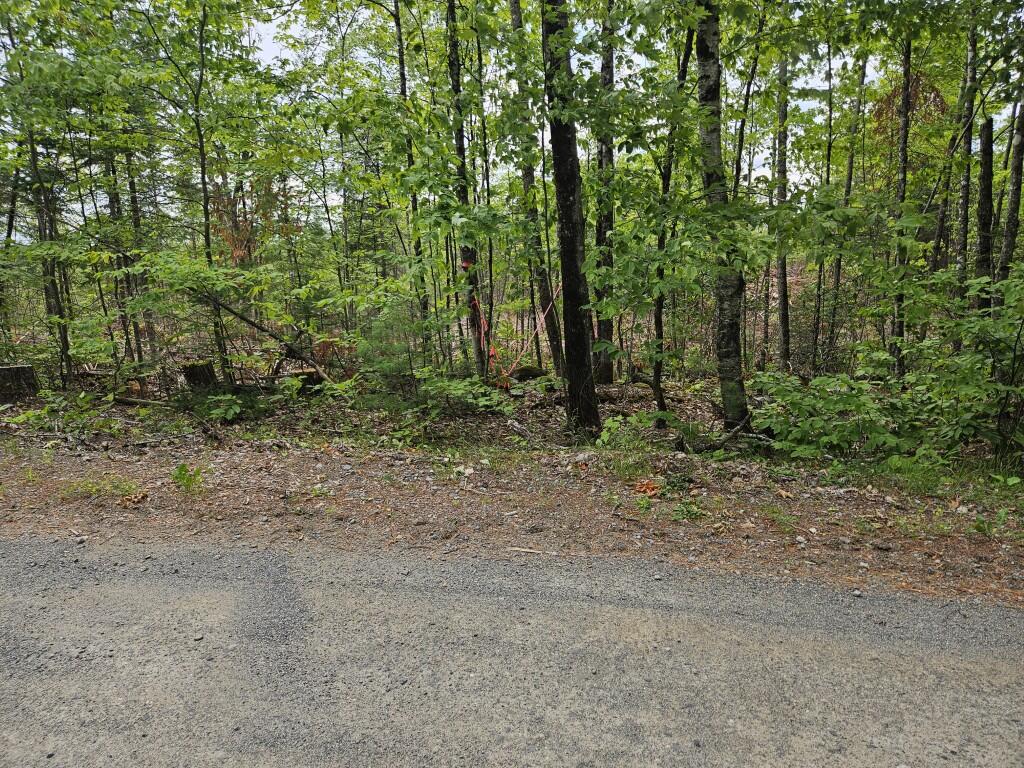 22-03 Rowell Mountain Road Solon, ME 04979 - Photo 23 of 55 20260721_155044