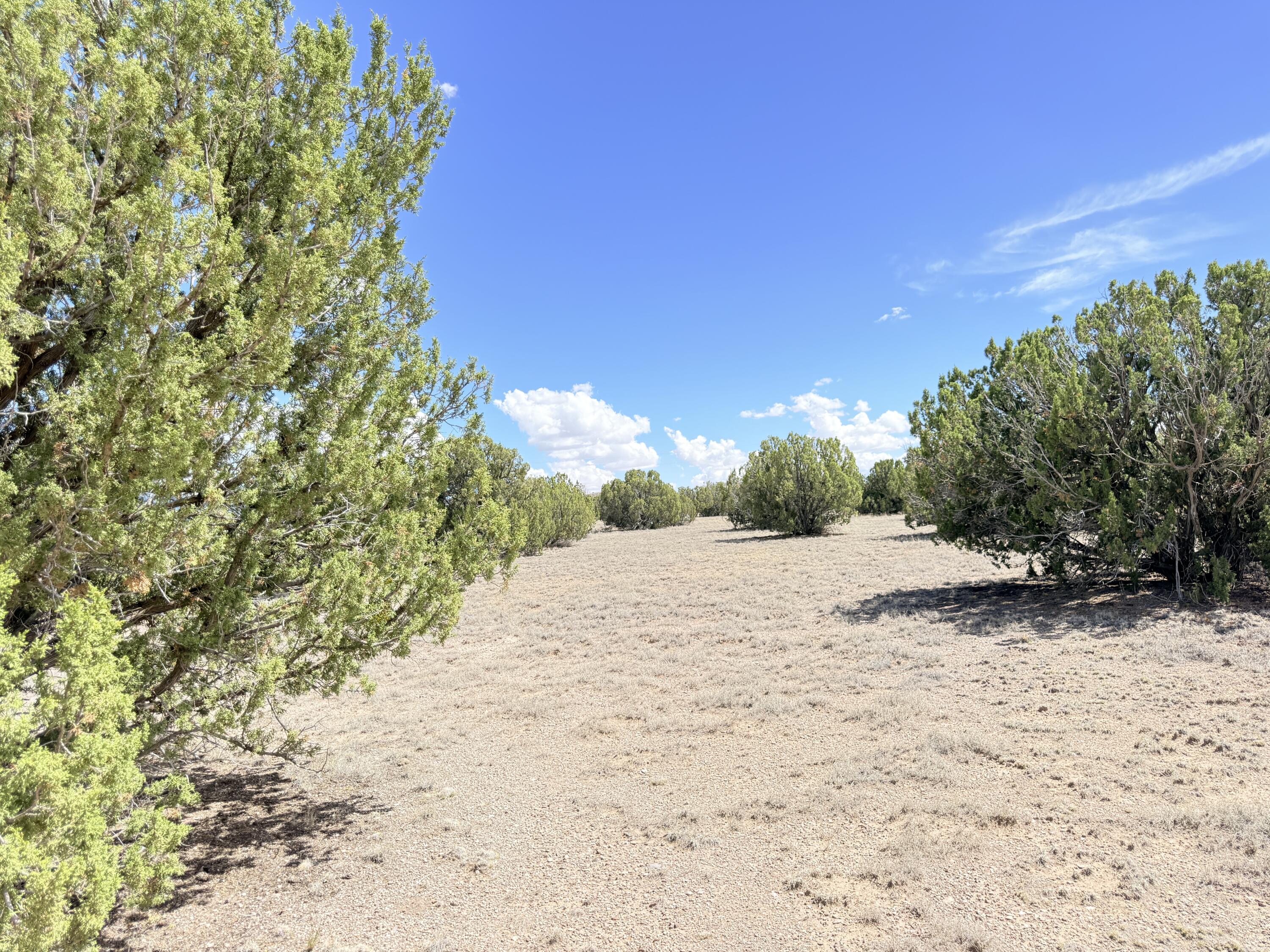 32 Brahman Road Magdalena, NM 87825 - Photo 45 of 59 Gallery Image 45
