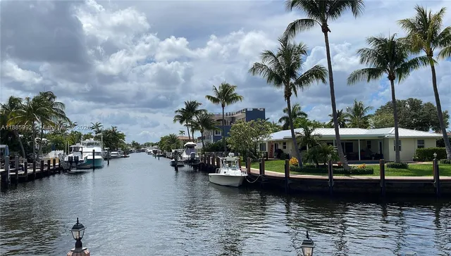a view of water with boats and palm trees