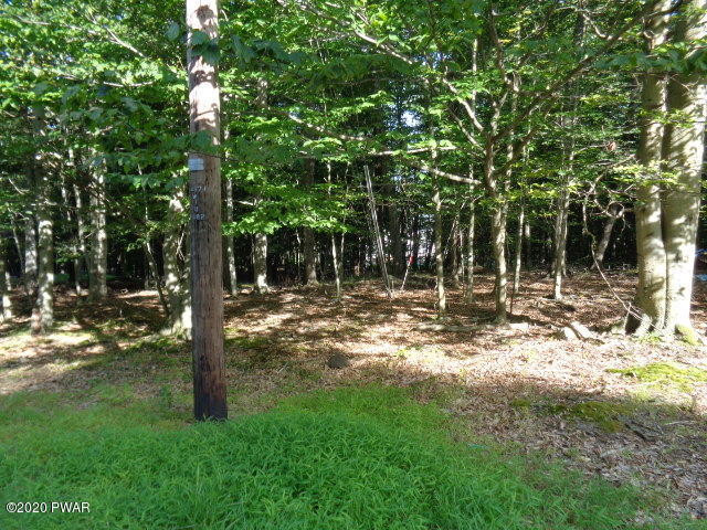 40 Deer Valley Road Lake Ariel, PA 18436 - Photo 1 of 22