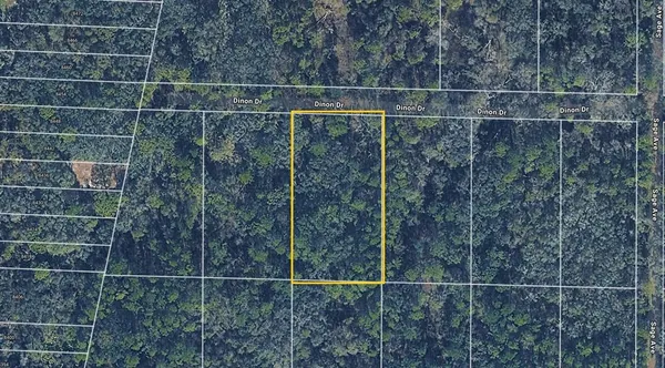 $32,000 | Pinon Drive, Webster, FL 33597
