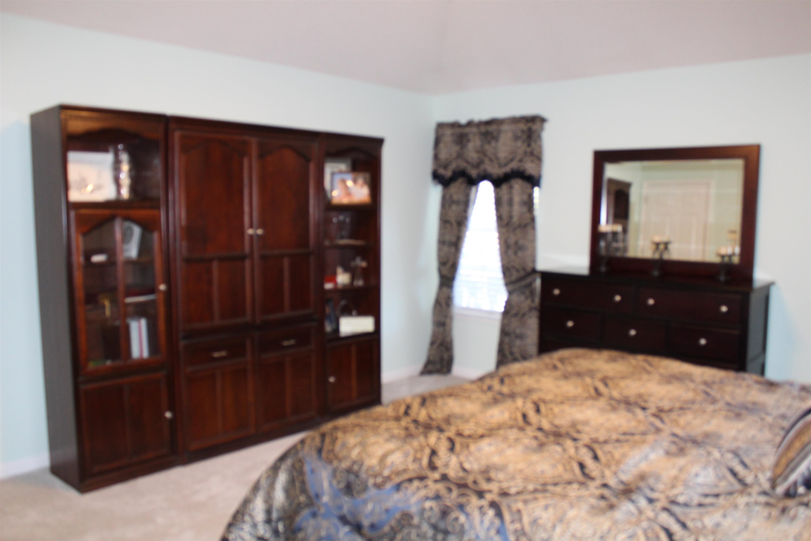 6442 Bending River Road Bartlett, TN 38135 - Photo 11 of 21 a bedroom with a bed and a closet