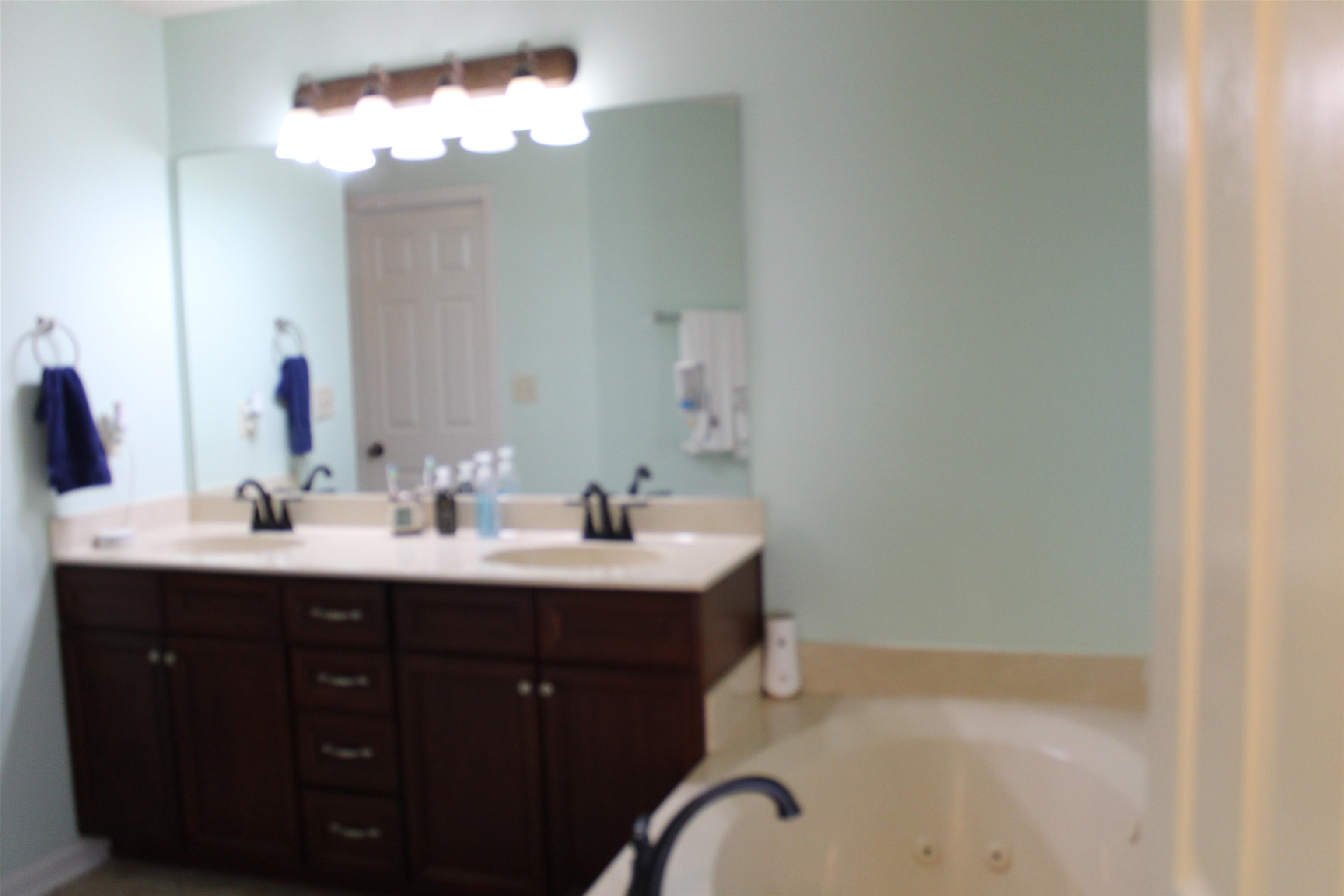 6442 Bending River Road Bartlett, TN 38135 - Photo 13 of 21 a bathroom with a sink and a mirror