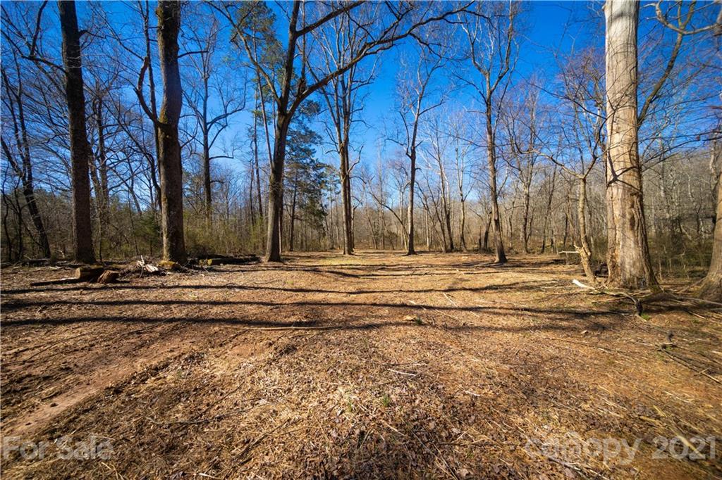 415 Rash Road Olin, NC 28660 - Photo 8 of 48 Gallery Image 8