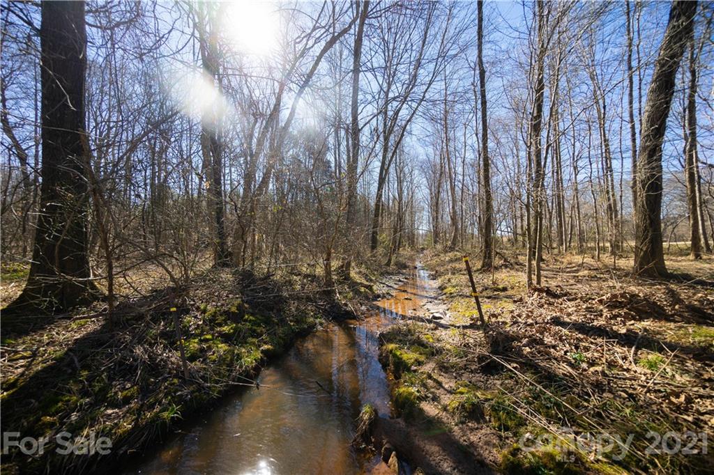 415 Rash Road Olin, NC 28660 - Photo 9 of 48 Gallery Image 9