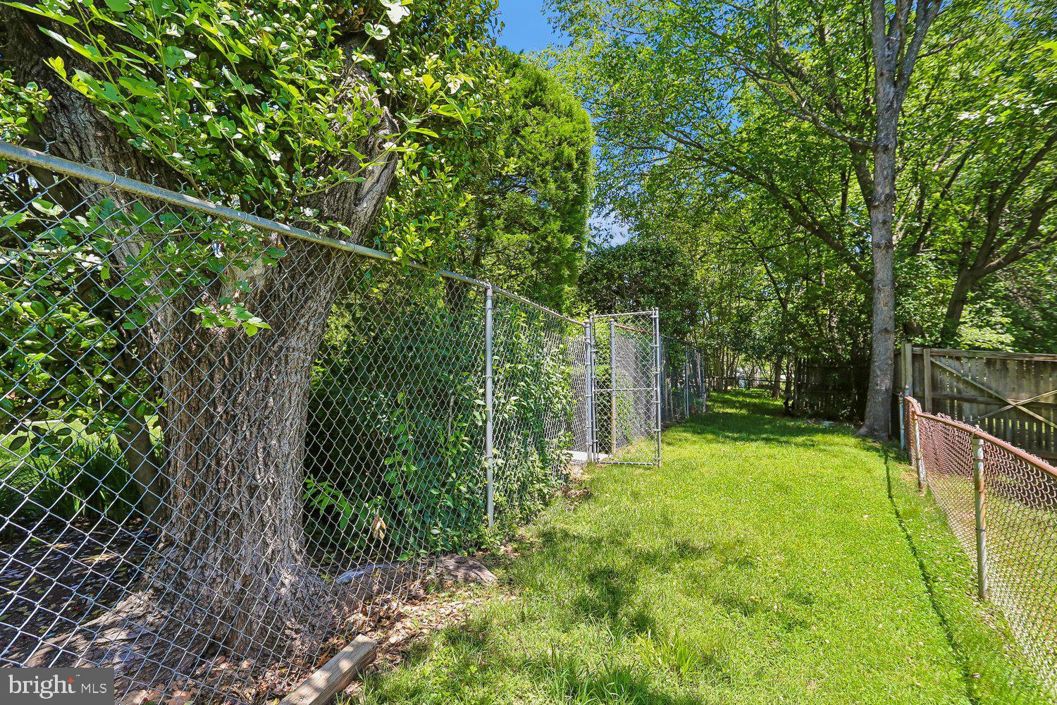 902 Malta Lane Silver Spring, MD 20901 - Photo 50 of 53