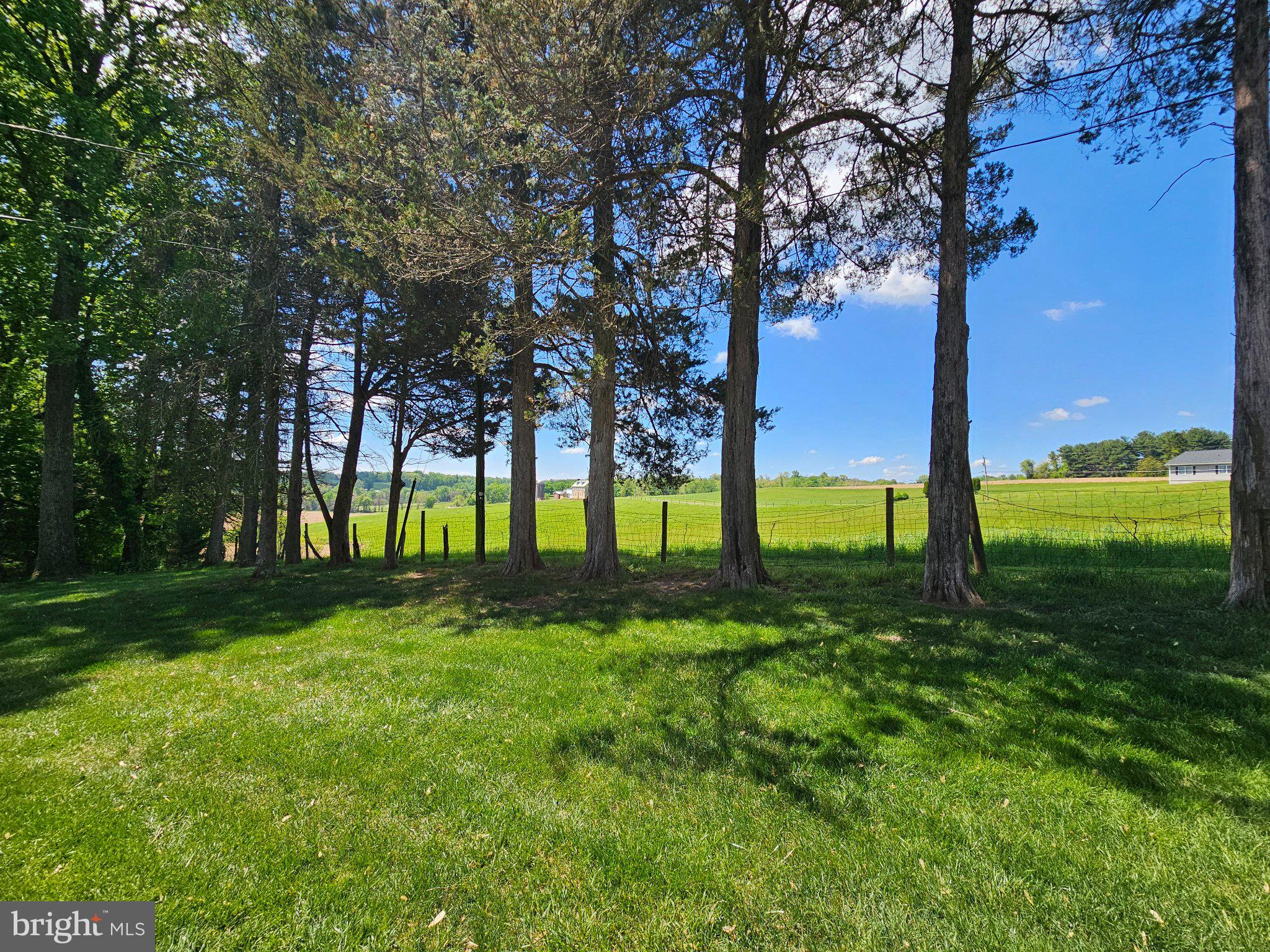 4619 Long Green Road Glen Arm, MD 21057 - Photo 14 of 74 Tranquil green retreat under blue skies.