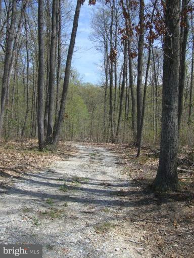 Bushey Road Northwest Sykesville, MD 21784 - Photo 1 of 7 Southern boundary area