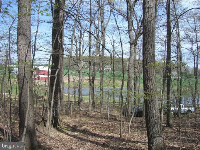 Bushey Road Northwest Sykesville, MD 21784 - Photo 2 of 7 Northern Exposure