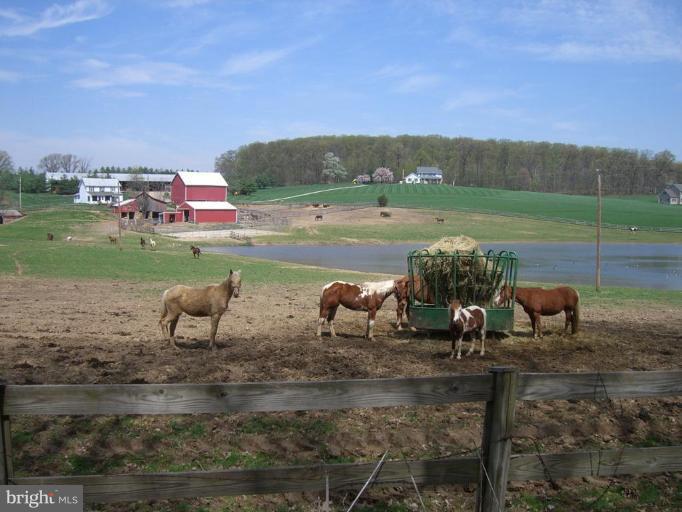 Bushey Road Northwest Sykesville, MD 21784 - Photo 4 of 7 Adjacent Farm