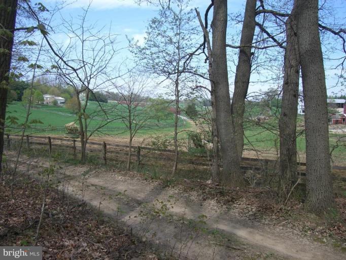 Bushey Road Northwest Sykesville, MD 21784 - Photo 6 of 7 Bittersweet Lane