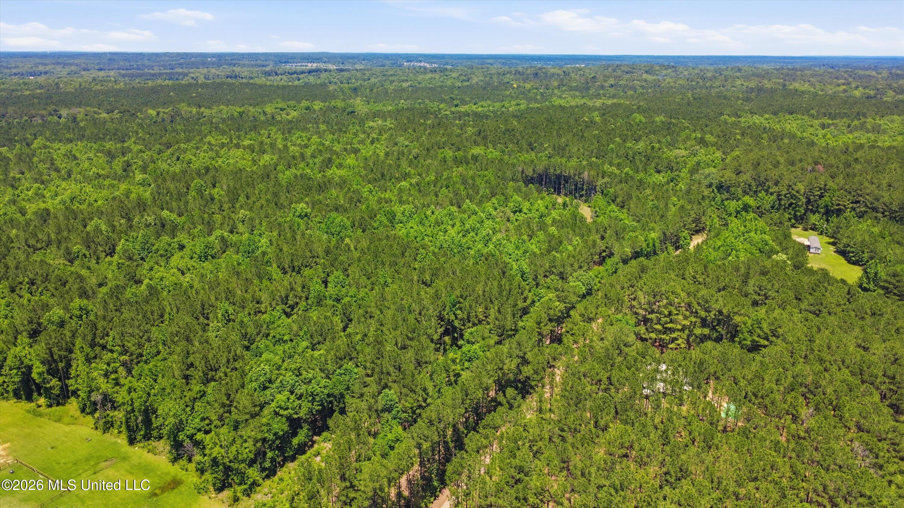 Lake Road Brandon, MS 39042 - Photo 2 of 19 02-Old_Lake_Rd_Drone_002