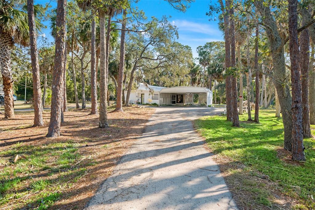 1524 Indian Bay Road Hernando Beach, FL 34607 - Photo 3 of 48 a view of a house with garden and trees