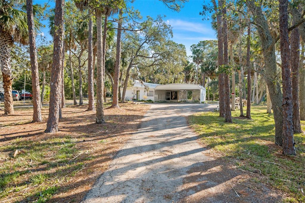 1524 Indian Bay Road Hernando Beach, FL 34607 - Photo 32 of 48 a view of a house with trees in the background