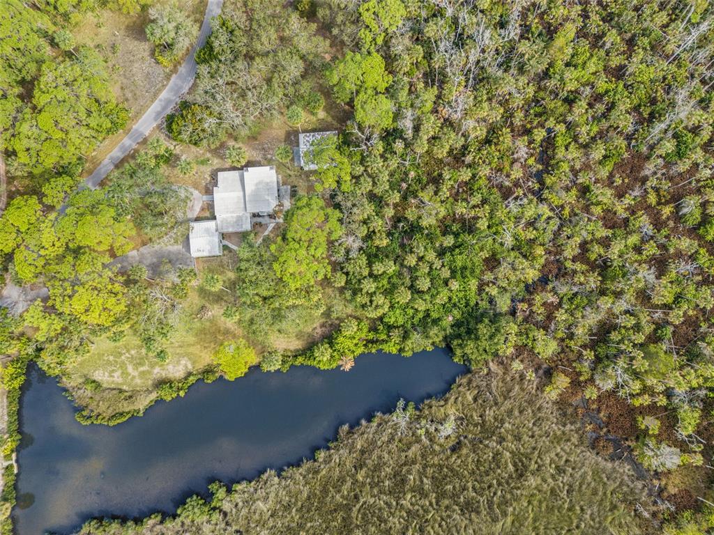 1524 Indian Bay Road Hernando Beach, FL 34607 - Photo 43 of 48 a view of a yard