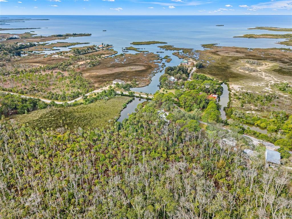 1524 Indian Bay Road Hernando Beach, FL 34607 - Photo 45 of 48 a view of an ocean