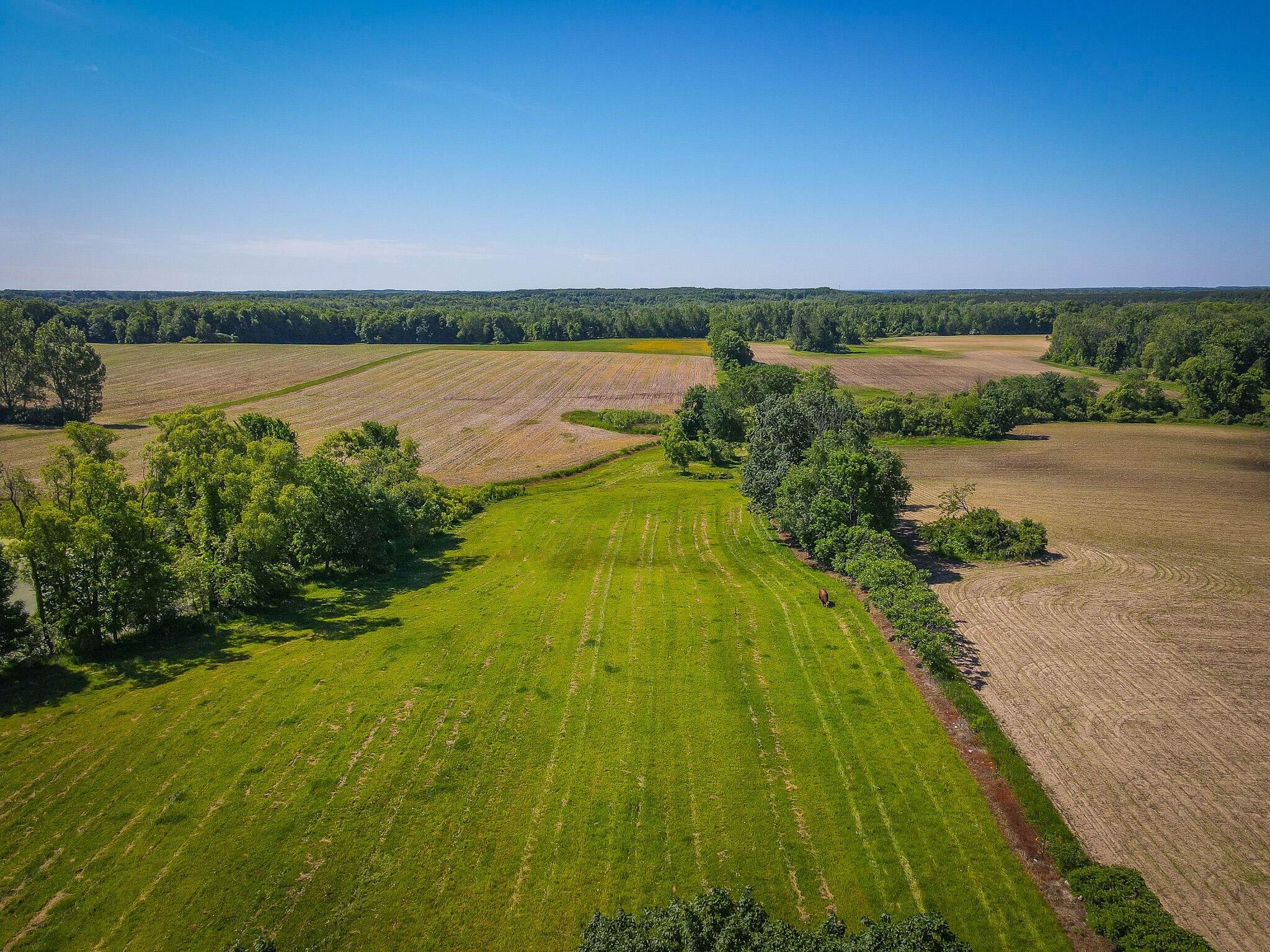 131.43 East Hazel Road Hart, MI 49420 - Photo 32 of 87 DJI_0458