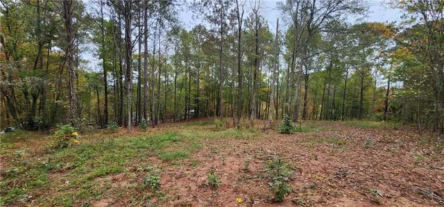 a view of outdoor space with trees