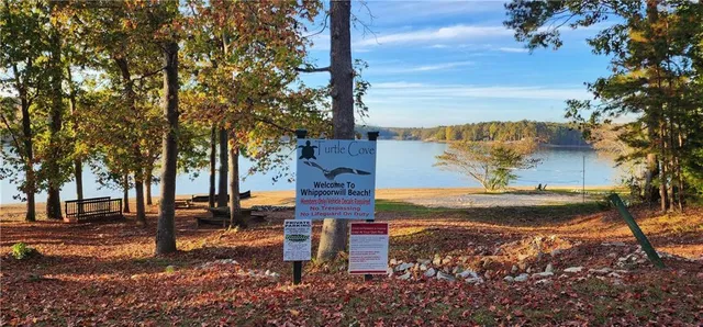 a view of a yard with an trees