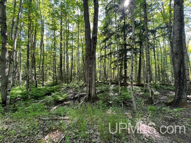 11.6 Acres Off Remington Road Marquette, MI 49855 - Photo 17 of 39