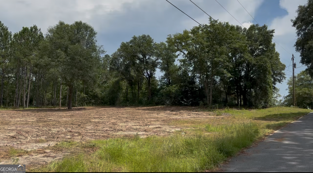 a view of a green yard