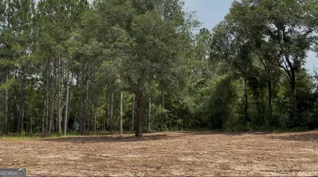 a view of a yard with a trees
