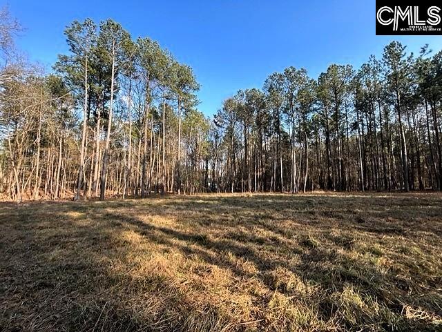 0 Circle H Woods Road Prosperity, SC 29127 - Photo 6 of 21