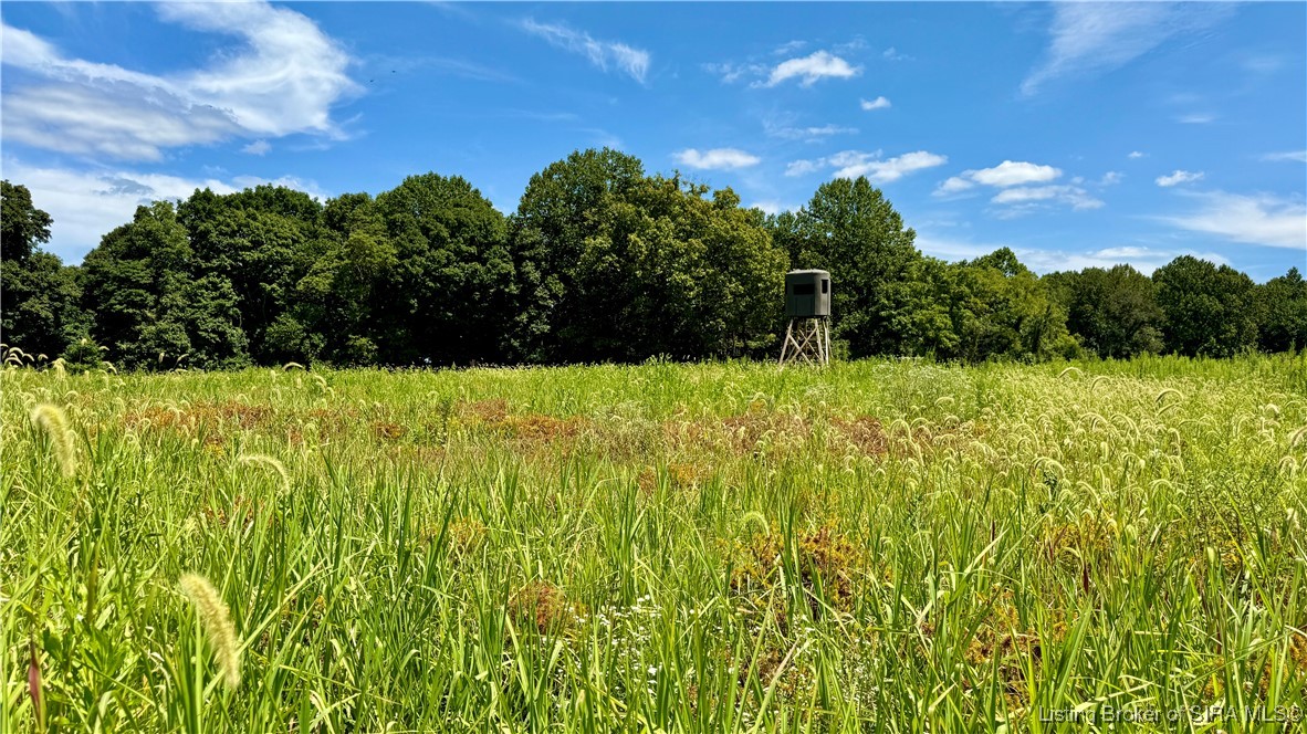Off West State Road 164 Birdseye, IN 47513 - Photo 11 of 30