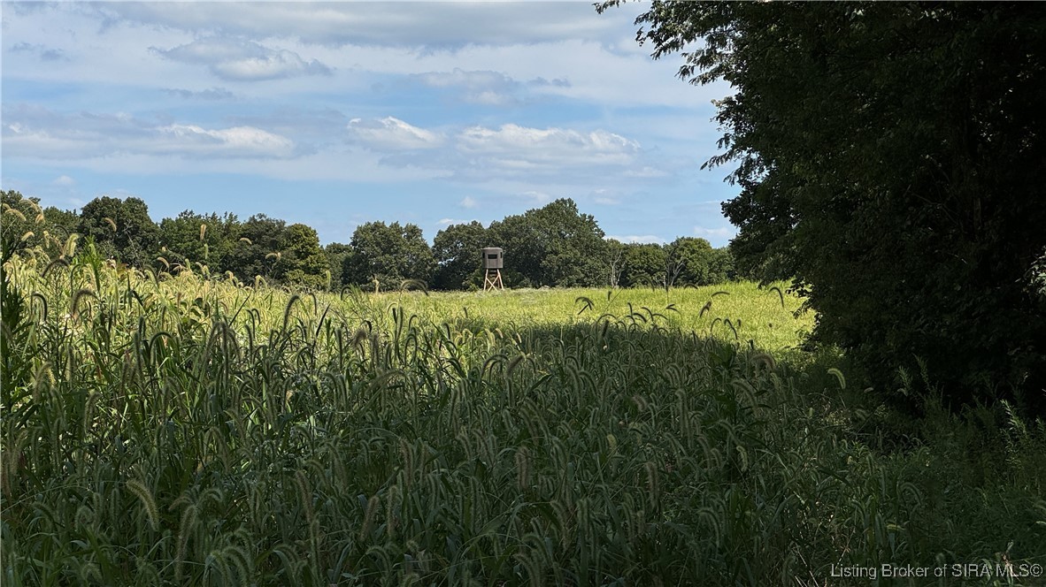 Off West State Road 164 Birdseye, IN 47513 - Photo 13 of 30