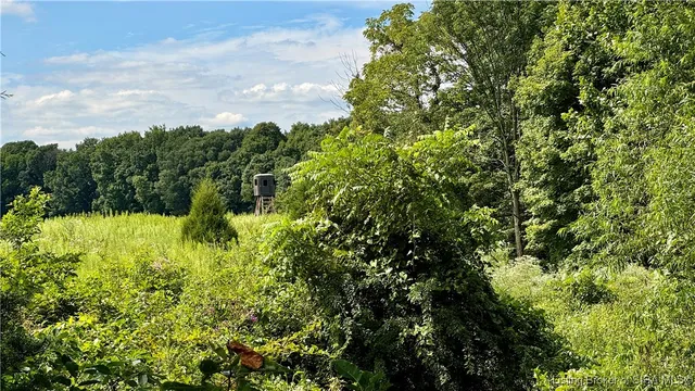 $1,199,000 | Off West State Road 164, Birdseye, IN 47513