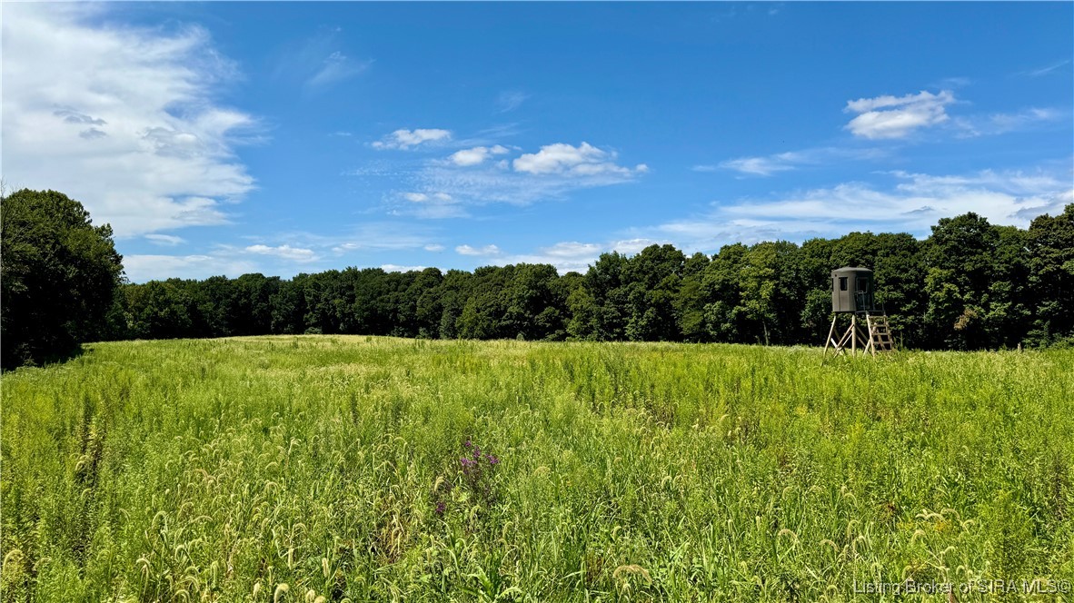 Off West State Road 164 Birdseye, IN 47513 - Photo 17 of 30