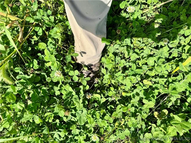 $1,199,000 | Off West State Road 164, Birdseye, IN 47513