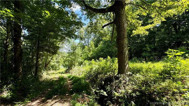 $1,199,000 | Off West State Road 164, Birdseye, IN 47513